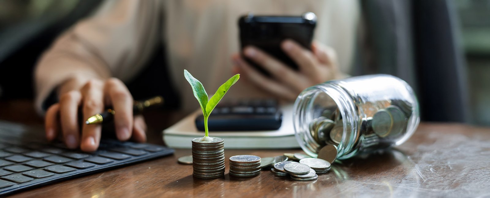 Vietnam Investment Opportunities